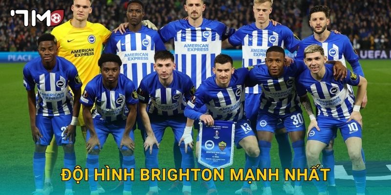 Đội hình Brighton mạnh nhất và phân tích chuyên sâu từ 7m 7 Đội hình Brighton mạnh nhất và phân tích chuyên sâu từ 7m