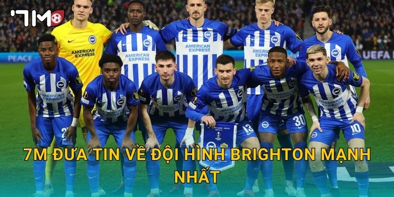 Đội hình Brighton mạnh nhất và phân tích chuyên sâu từ 7m 3 7m đưa tin về đội hình Brighton mạnh nhất