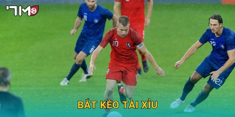 bắt kèo tài xỉu 7m và kinh nghiệm thực chiến hữu ích 22 bắt kèo tài xỉu 7m và kinh nghiệm thực chiến hữu ích