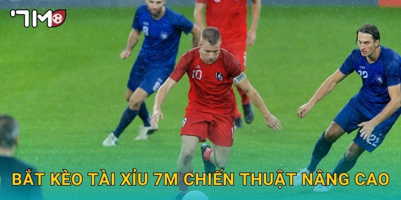 bắt kèo tài xỉu 7m và kinh nghiệm thực chiến hữu ích 3 bắt kèo tài xỉu 7m chiến thuật nâng cao